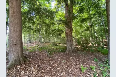 96 Nelson Hill Road, Sutton, NH 03221 - Photo 6