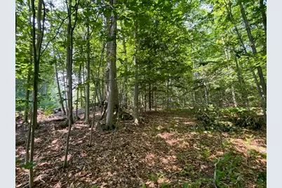 96 Nelson Hill Road, Sutton, NH 03221 - Photo 12