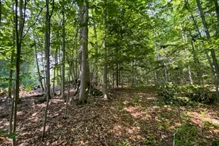 96 Nelson Hill Rd, Sutton, NH 03221 - Photo 12