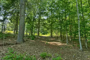 78 Old Granite Rd, Ossipee, NH 03864 - Photo 18