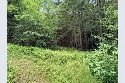 55 Hallwood Drive, Surry, NH 03431 - Photo 34