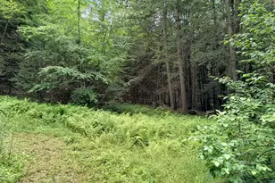 55 Hallwood Dr, Surry, NH 03431 - Photo 34