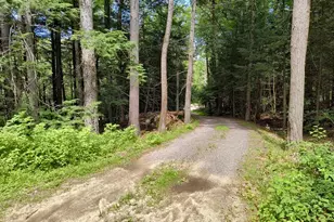 55 Hallwood Dr, Surry, NH 03431 - Photo 36