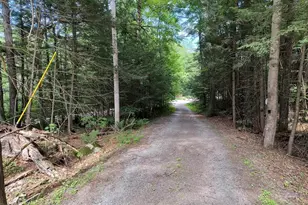 55 Hallwood Dr, Surry, NH 03431 - Photo 38