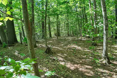 0 Country Drive #Map 254 Lot 98, Conway, NH 03813 - Photo 10