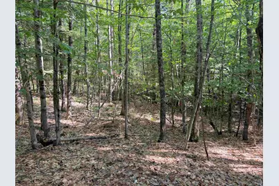 Map 218 Lot 67 Alden Washburn Drive, Tamworth, NH 03886 - Photo 12
