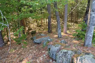 Map 218 Lot 67 Alden Washburn Dr, Tamworth, NH 03886 - Photo 1