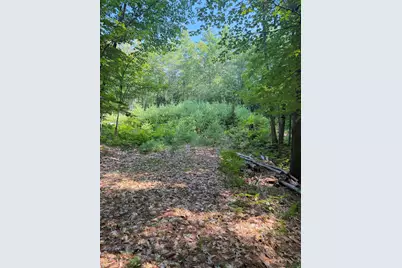 Map 218 Lot 67 Alden Washburn Drive, Tamworth, NH 03886 - Photo 8