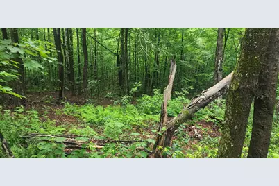 142 Fox Hill Road #111-035, Stoddard, NH 03456 - Photo 6