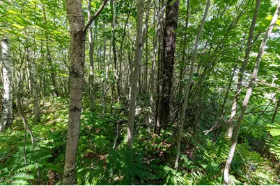2 Boulder Point Drive, Plymouth, NH 03264 - Photo 20