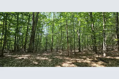406-17 Guinea Ridge Road, Gilmanton, NH 03237 - Photo 10