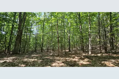 406-17 Guinea Ridge Road, Gilmanton, NH 03237 - Photo 8