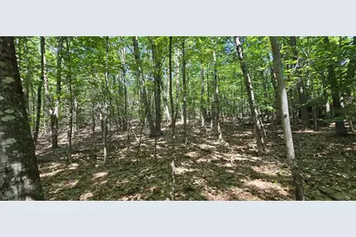 406-17 Guinea Ridge Road, Gilmanton, NH 03237 - Photo 12