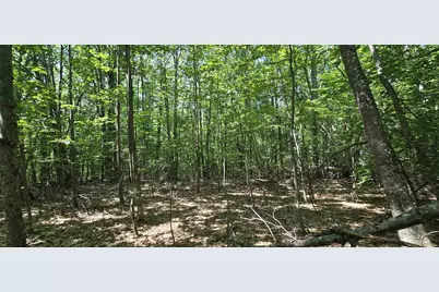 406-17 Guinea Ridge Road, Gilmanton, NH 03237 - Photo 4