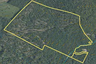 36 Gould Rd, Canaan, NH 03741 - Photo 1