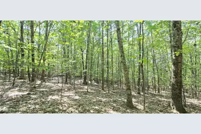 406-19 Guinea Ridge Road, Gilmanton, NH 03237 - Photo 6