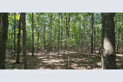 406-19 Guinea Ridge Road, Gilmanton, NH 03237 - Photo 8