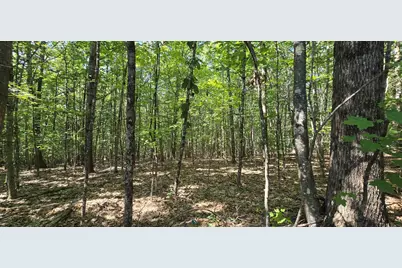 406-19 Guinea Ridge Road, Gilmanton, NH 03237 - Photo 2