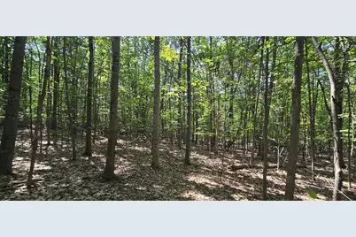 406-19 Guinea Ridge Road, Gilmanton, NH 03237 - Photo 12