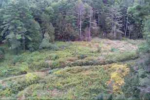 1844 Littleton Rd, Monroe, NH 03771 - Photo 50