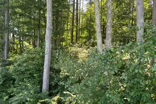 33 Coburn Rd, Windham, NH 03087 - Photo 1