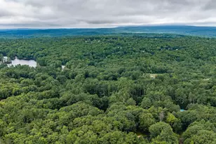 357 Brown Hill Rd, Belmont, NH 03220 - Photo 50