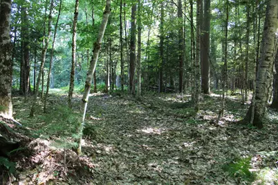 167 Kingman Hill Road, Lisbon, NH 03585 - Photo 10
