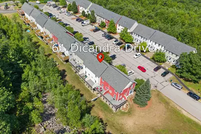 61 Dicandra Drive, Bow, NH 03304 - Photo 28