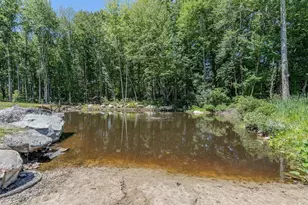 269 Old Bay Rd, New Durham, NH 03855 - Photo 40