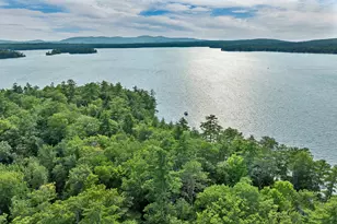 11 Triggs Island, Wolfeboro, NH 03894 - Photo 54