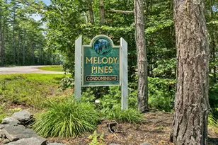 24 Harmony Ln, Conway, NH 03813 - Photo 50