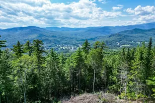 87 Presidential Rd, Jackson, NH 03846 - Photo 52