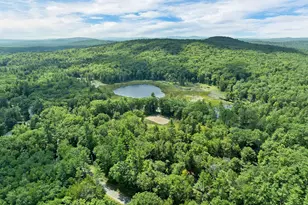 661 Deer Meadow Rd, Webster, NH 03303 - Photo 4
