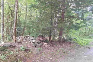 447 Pratt Rd, Alstead, NH 03602 - Photo 16