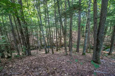 141 Red Eagle Brook Road, Conway, NH 03818 - Photo 56