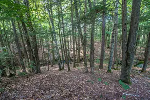 141 Red Eagle Brook Rd, Conway, NH 03818 - Photo 56