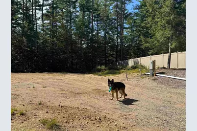 58 Wiggin Lane, Tamworth, NH 03817 - Photo 8