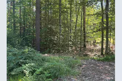 58 Wiggin Lane, Tamworth, NH 03817 - Photo 28