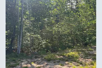 58 Wiggin Lane, Tamworth, NH 03817 - Photo 20