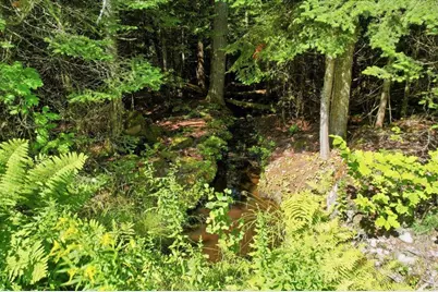 Lot 47-12 Broomstick Hill Road, Littleton, NH 03561 - Photo 26