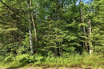 Lot 47-12 Broomstick Hill Road, Littleton, NH 03561 - Photo 6