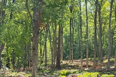 Lot 9-1 Roxbury Road, Sanbornton, NH 03269 - Photo 10