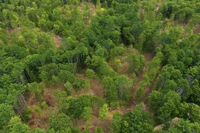 Lot 9-2 Roxbury Road, Sanbornton, NH 03269 - Photo 24