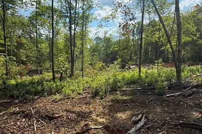 Lot 9-2 Roxbury Road, Sanbornton, NH 03269 - Photo 6