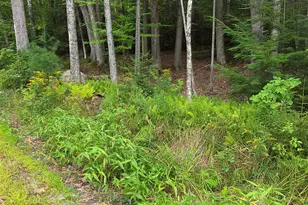 26 Judges Rd, Thornton, NH 03285 - Photo 40