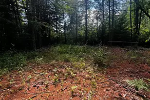Tbd Birch Hill Rd, New Durham, NH 03855 - Photo 1