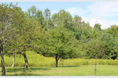 74 Foster Hill Road, Bath, NH 03740 - Photo 16