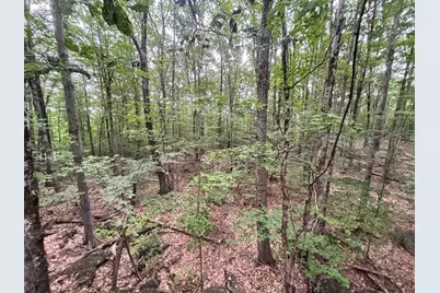 55-10 Longwood Drive, Greenfield, NH 03047 - Photo 6