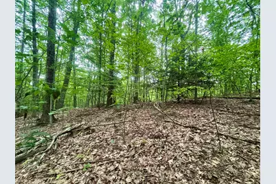 55-10 Longwood Drive, Greenfield, NH 03047 - Photo 2