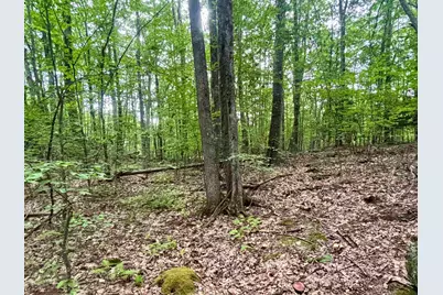 55-10 Longwood Drive, Greenfield, NH 03047 - Photo 10